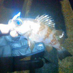 さぶかったぁー